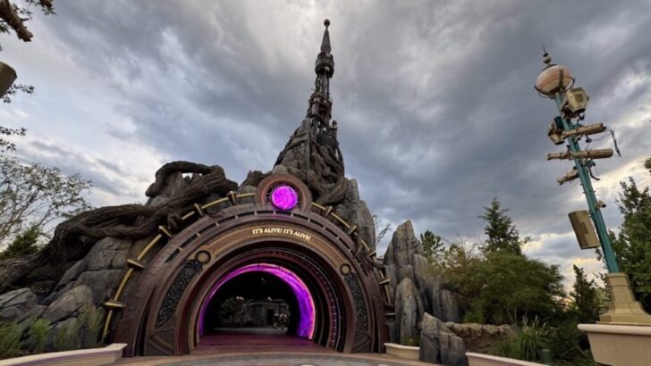New Free Epic Universe-Inspired Button Available For Select Guests