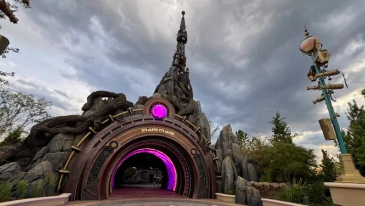 New Free Epic Universe-Inspired Button Available For Select Guests
