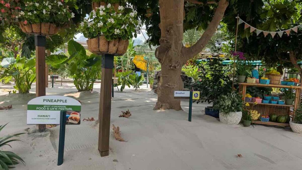 living with the land food and wine pineapple