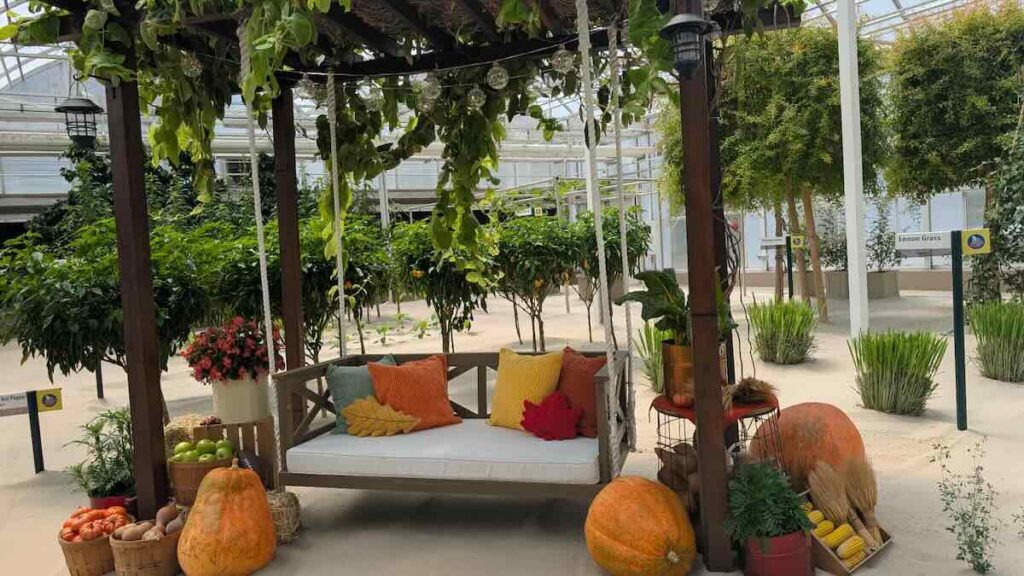 living with the land food and wine pumpkin