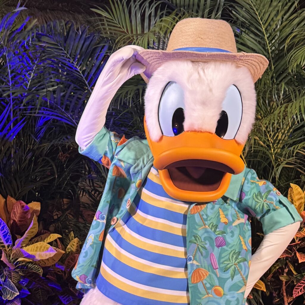 Donald Duck