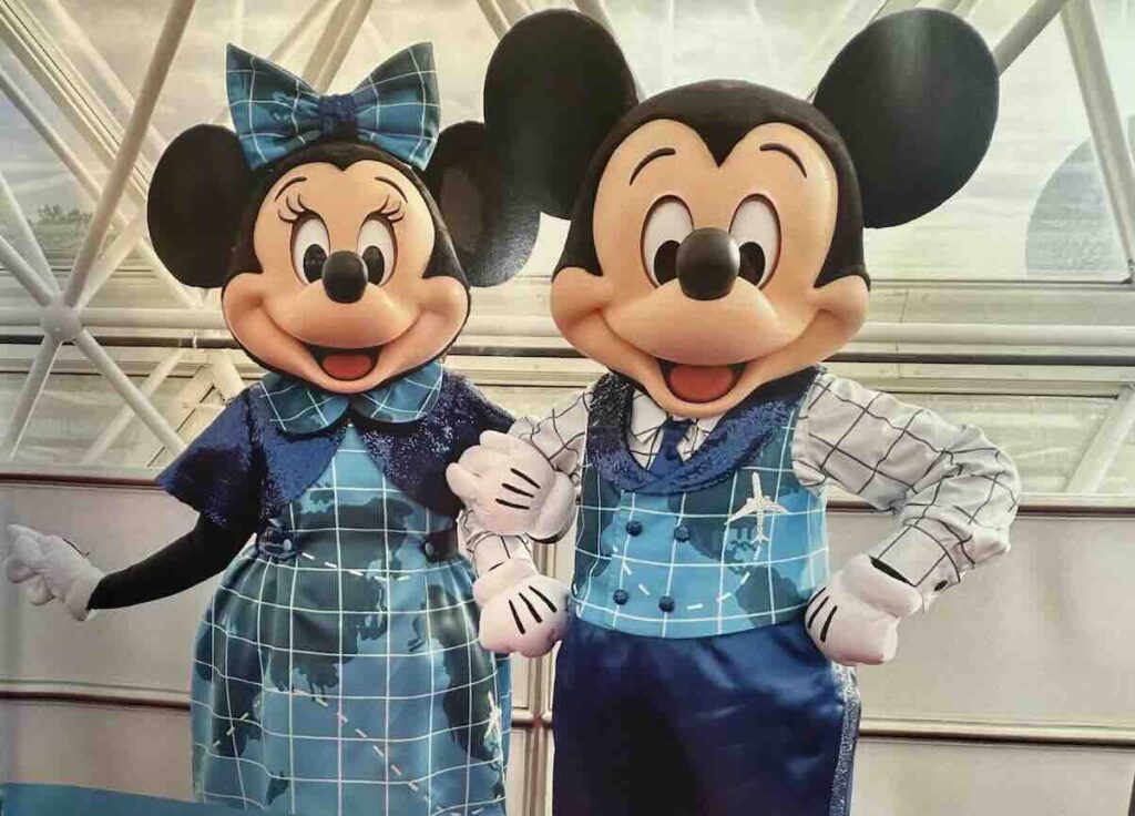 mickey and minnie beyond look dvc
