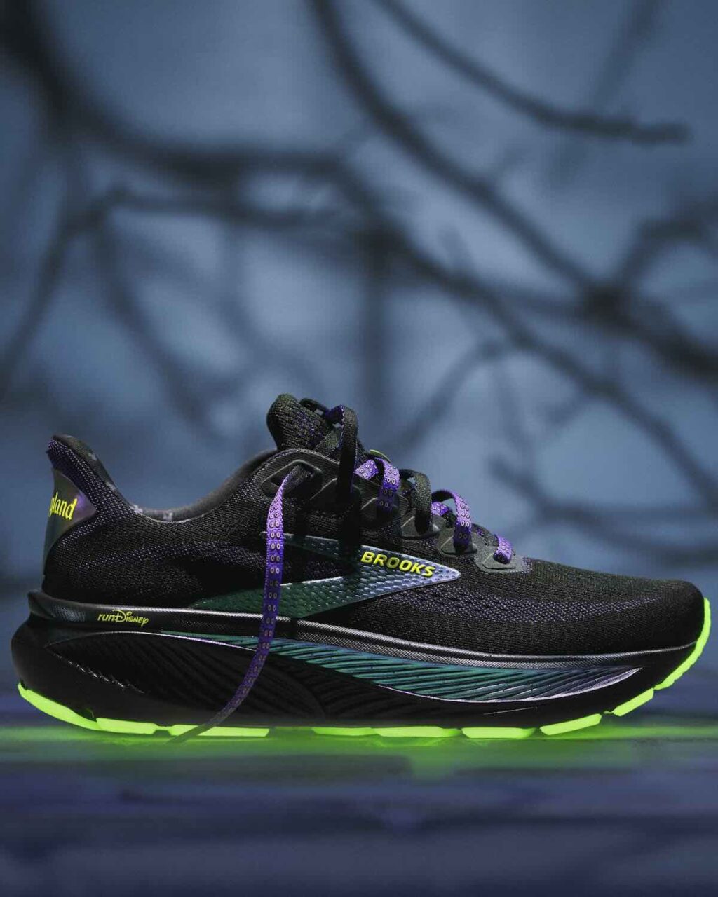 rundisney disneyland half marathon black