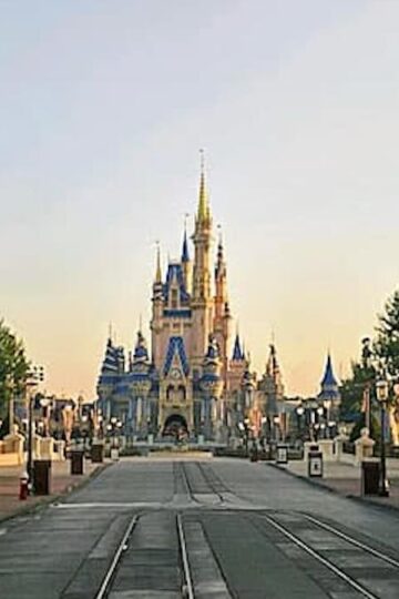 Could Disney World Be Expecting Low Crowds On This Day?