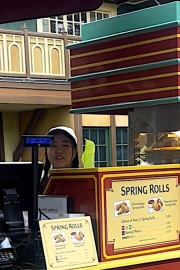 New Spring Roll Flavor Coming to the Magic Kingdom