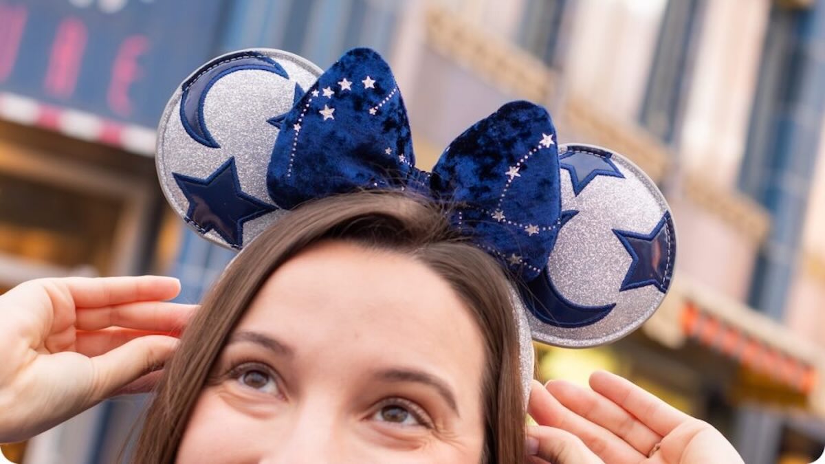 Warning: Price Increase on Select Disney World Merchandise