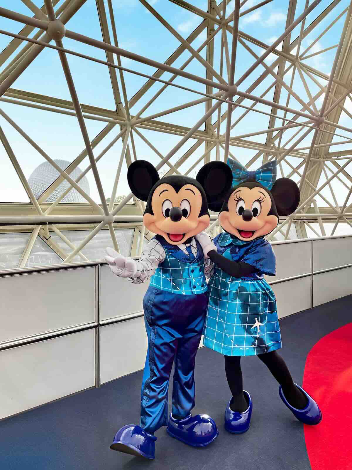 mickey and minnie dvc meet