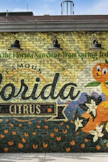 Justice Department Investigates Disability Violation at Florida Theme Parks