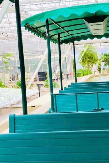 Guests Jump Out of Sinking Boat on Disney World Ride