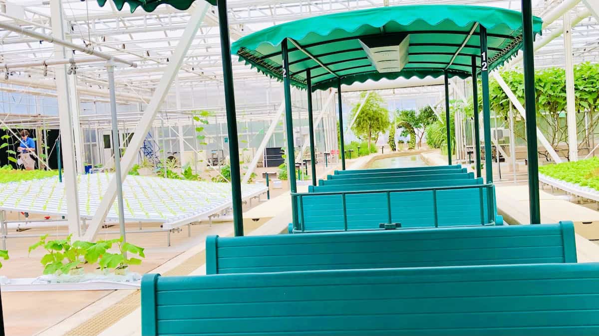 Guests Jump Out of Sinking Boat on Disney World Ride