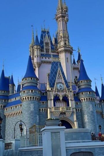 Guests Shocked as Child Climbs Onto Stage at Magic Kingdom