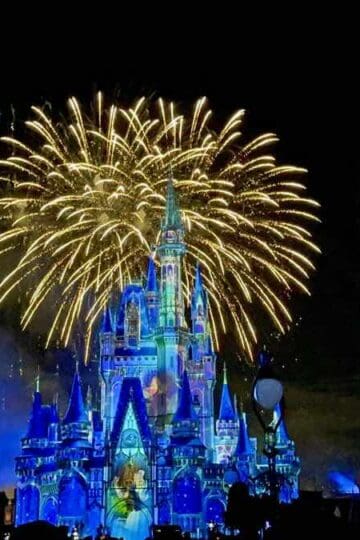 This is The Best Disney Snack For Magic Kingdom Fireworks