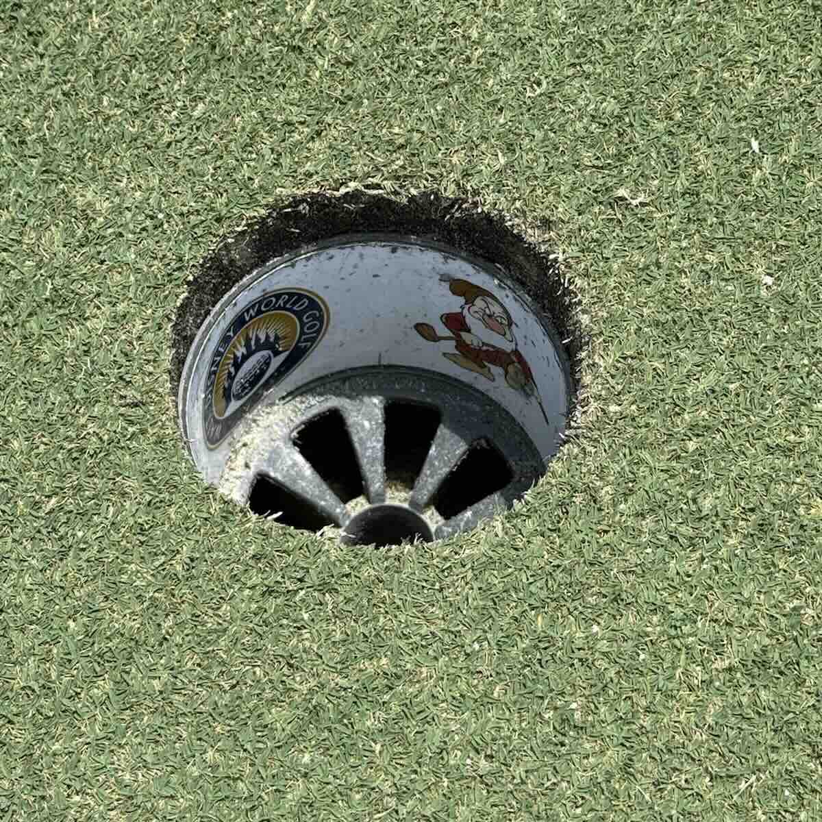 lake buena vist golf cup