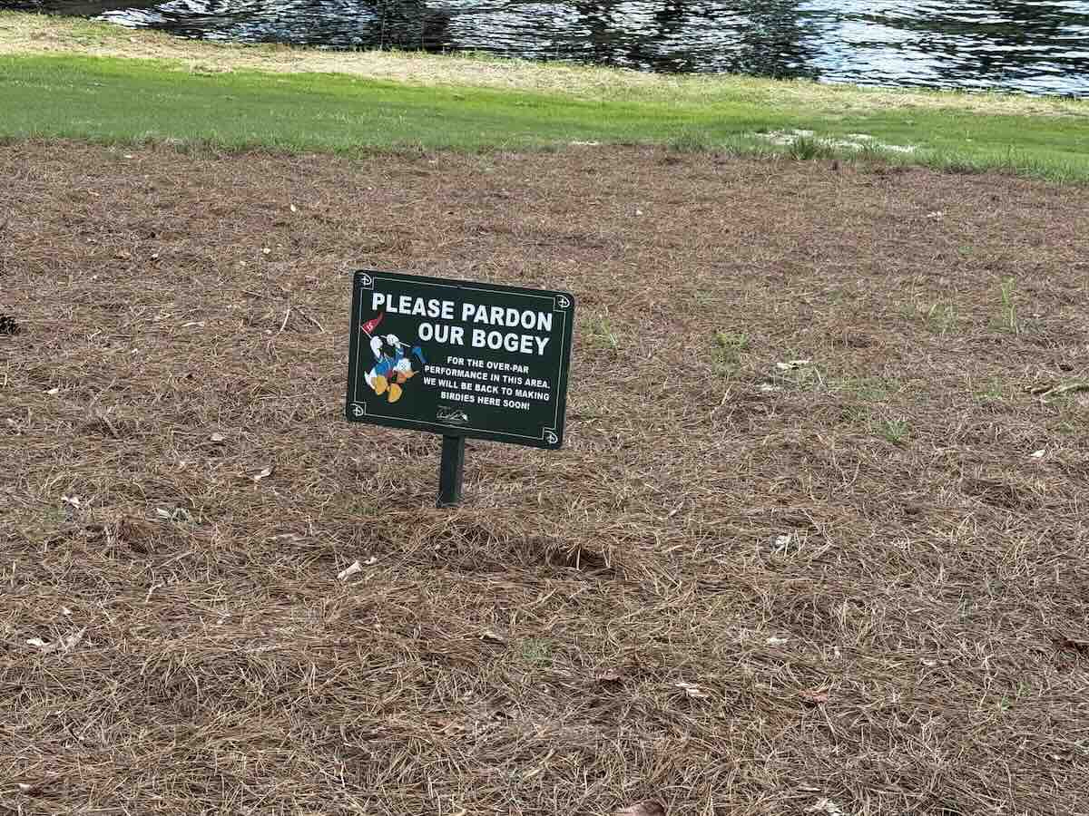 lake buena vista golf refurb