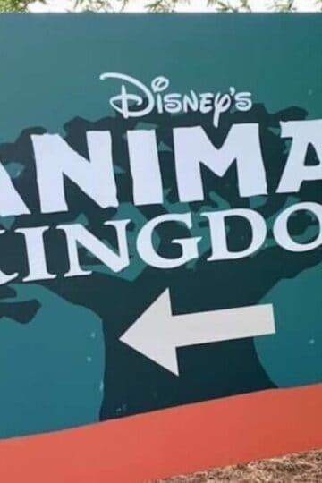 Animal Kingdom Attraction Gets Reopening Date