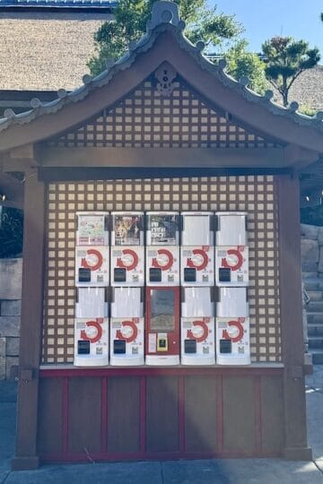 How to get a Fun $6 Surprise Souvenir in Epcot