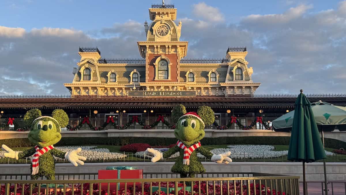 Disney World Issues Pop Up Notification for Guests