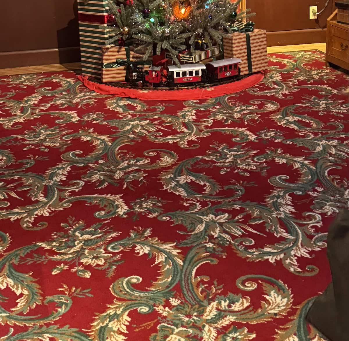 Muppet Vision Carpet