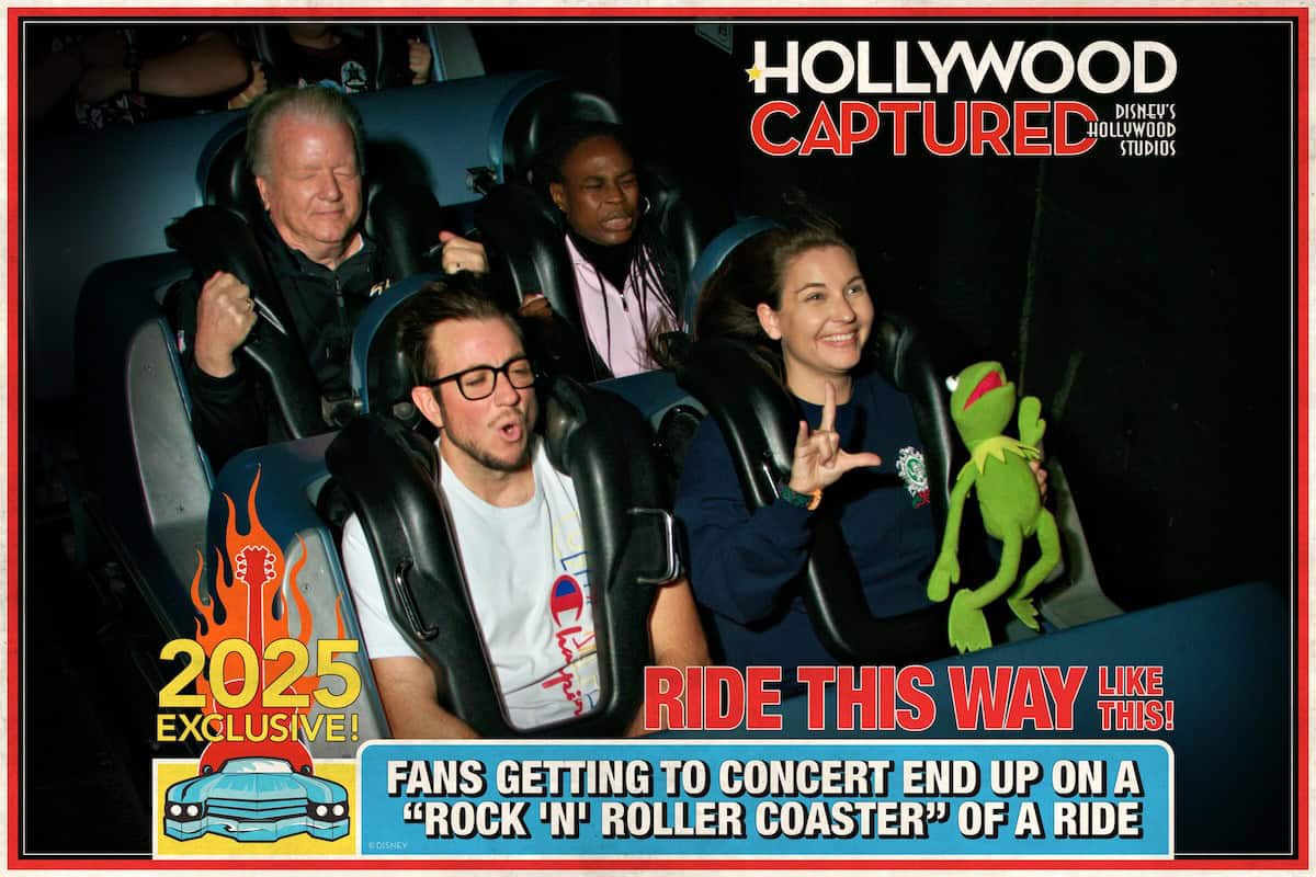 Rock 'n' Roller Coaster