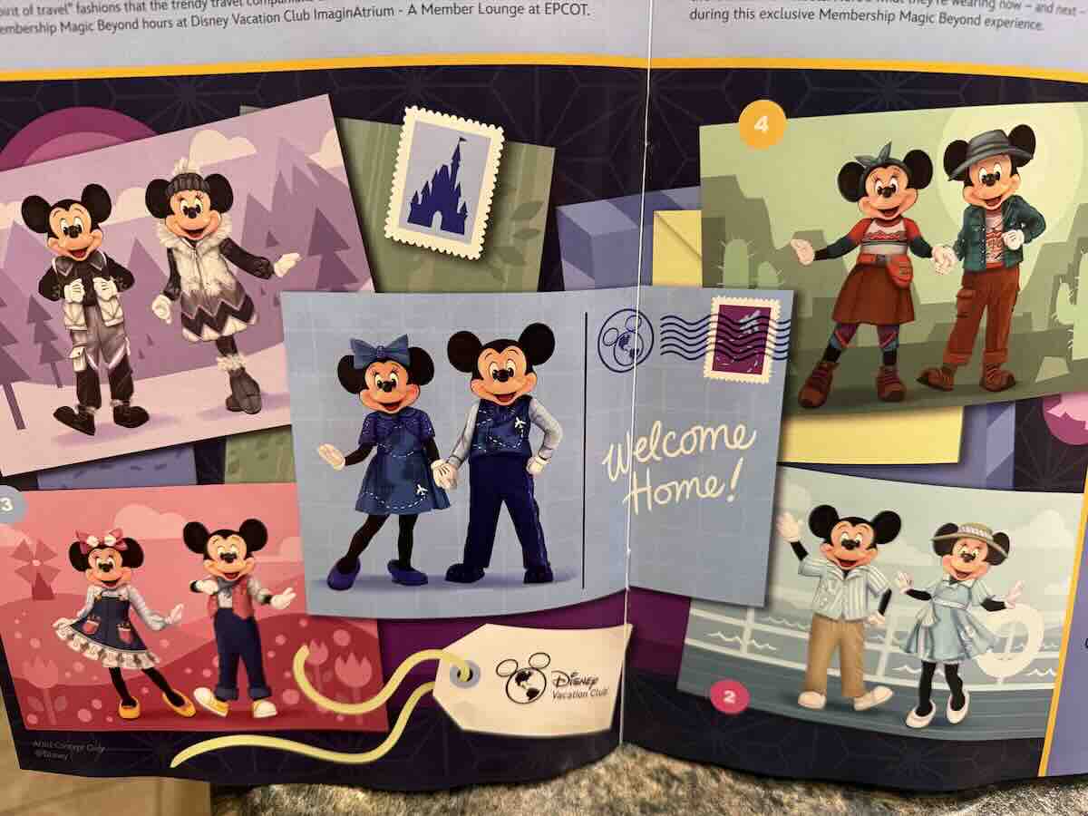 mickey and minnie dvc looks