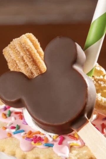 Possible Demise of Paper Straws at Disney World