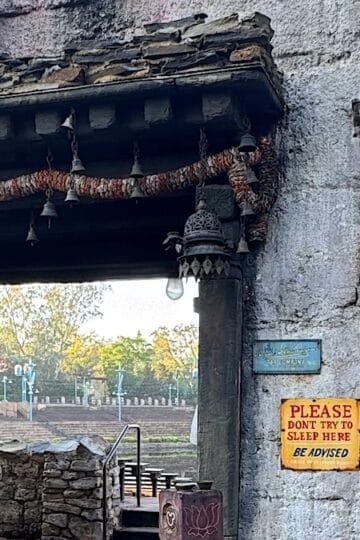 Entertainment Returns to Animal Kingdom's Discovery River Amphitheater