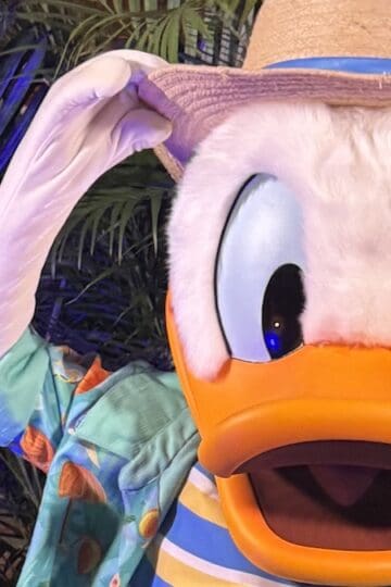 Disney World Park Closure Updated