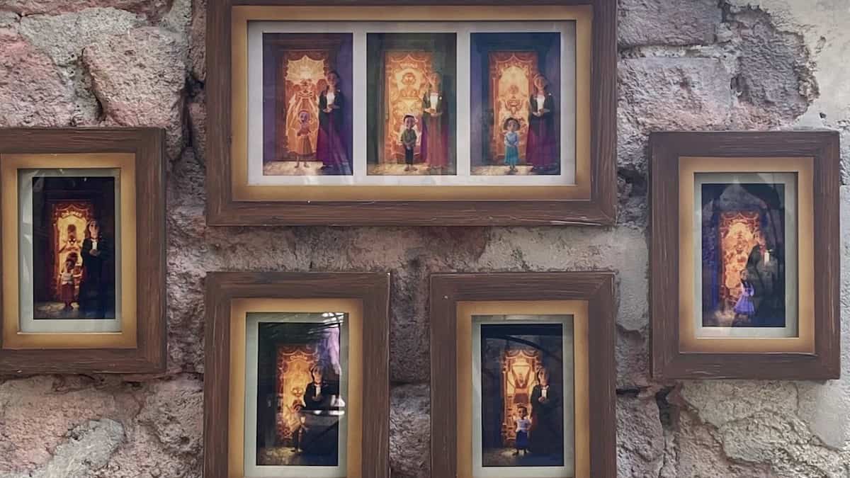 Reveal for New Tropical Americas Play Space