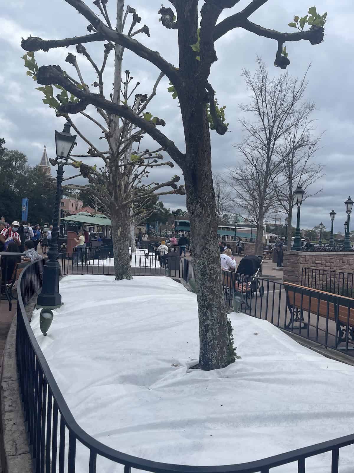 Epcot cold weather prep