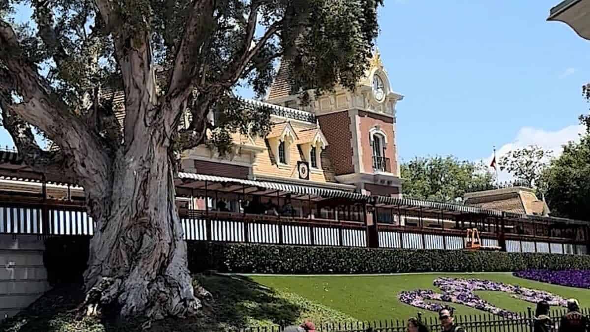 Rare Character Makes Debut at This Disney Park