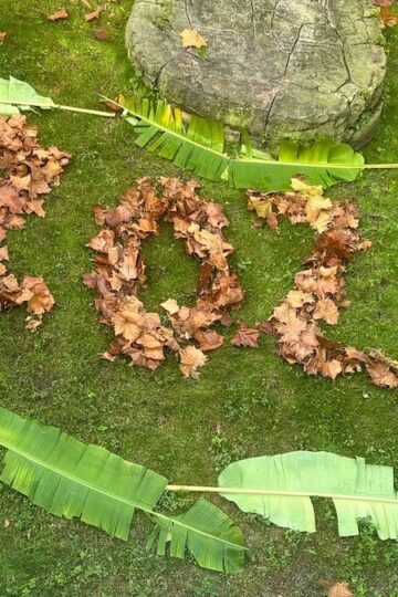 The Best Disney Animal Moments of 2025