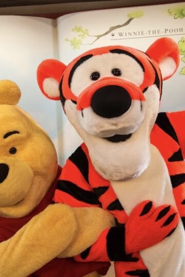 Magic Kingdom Removes Popular Pooh and Tigger Meet and Greet