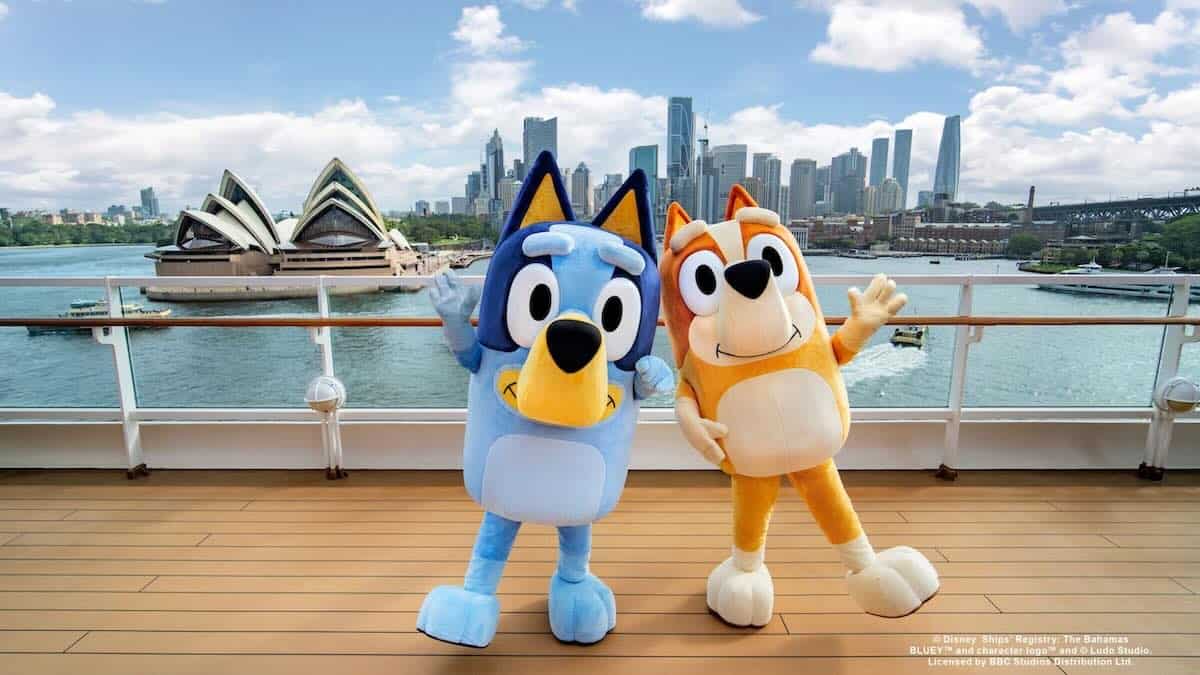 blue and bingo dcl australia