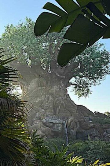 Animal Kingdom Dining Location Gets New Menu