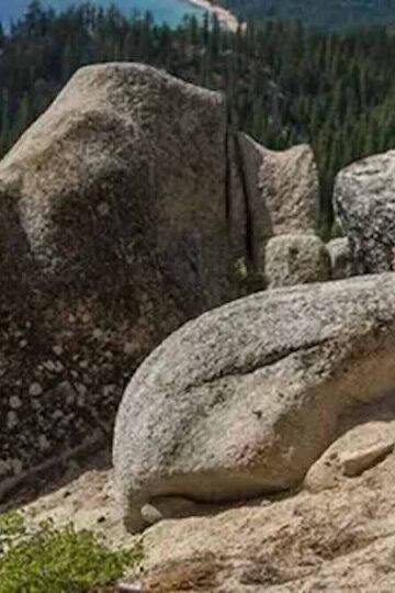 Beloved runDisney Legend Passes Away - Never To Be Forgotten