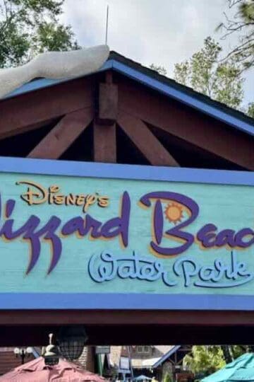Disney’s Blizzard Beach Water Park Gets Reopening Date; Typhoon Lagoon to Close
