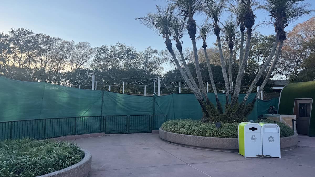 EPCOT butterfly landing