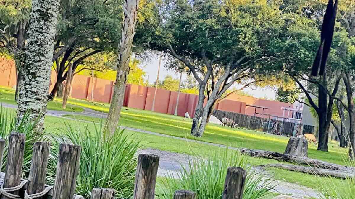 A New Disney Baby Has Arrived!