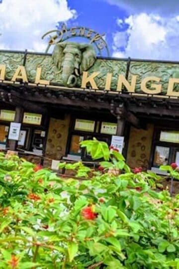 Big Character Meet Changes At Disney's Animal Kingdom