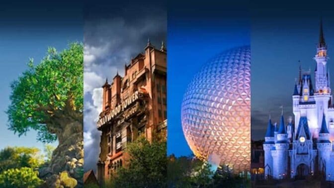 The Disney World Permit That Has Us Worried