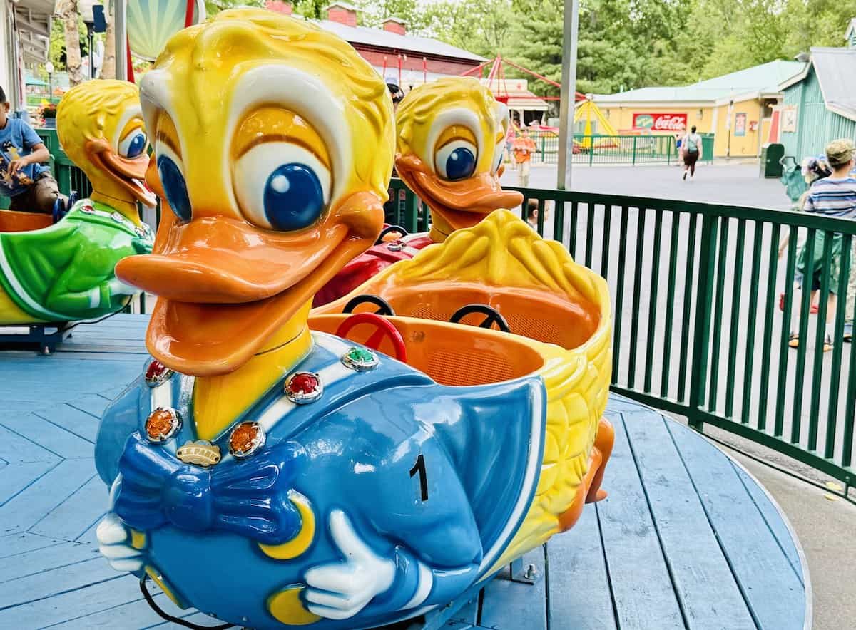 Picture of Lucky Ducks Dollywood