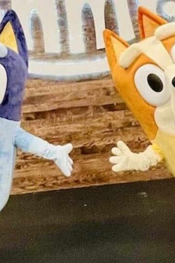 When Will Bluey Open in Disney World