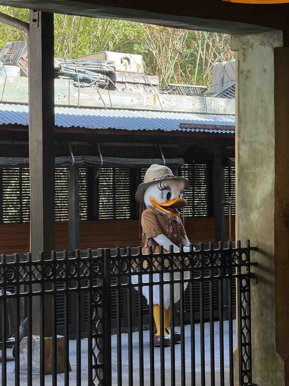 daisy meet animal kingdom train