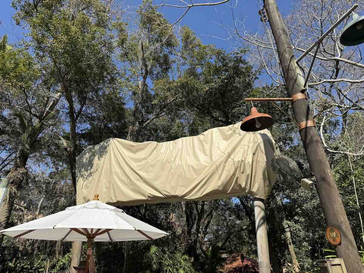 rafiki planet watch sign covered