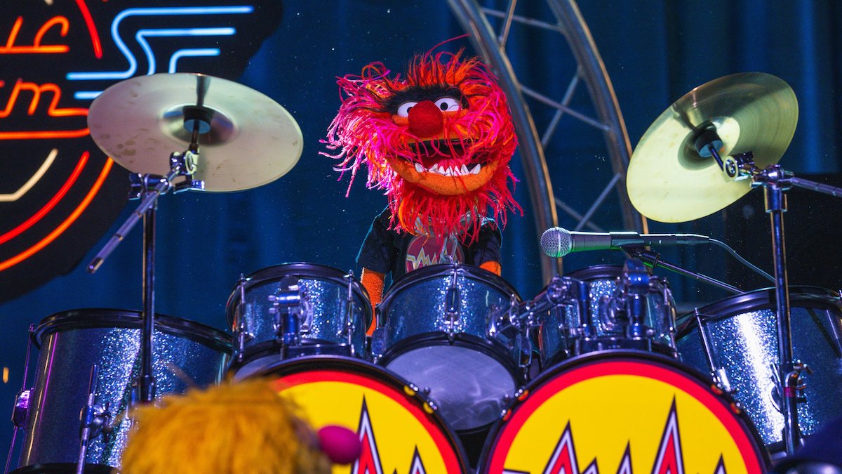 Animal Rock n Roller Coaster