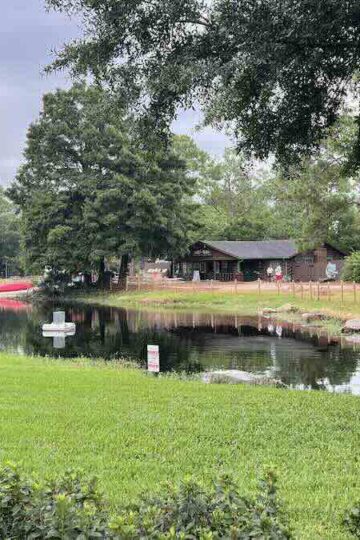 BREAKING: New Pool Area Opening Today At This Magic Kingdom Resort