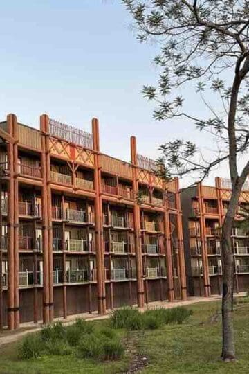 Three More Disney Baby Animals Have Arrived