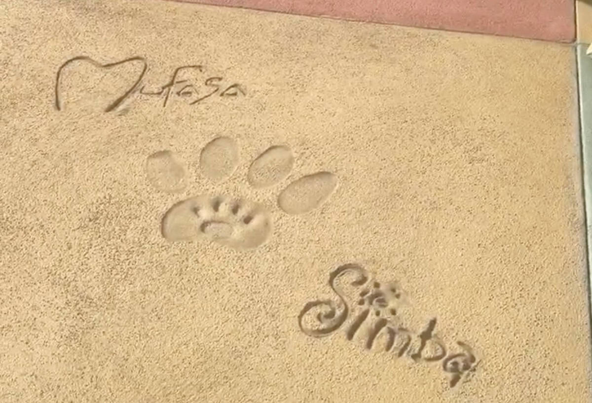 Mufasa and Simba paw print