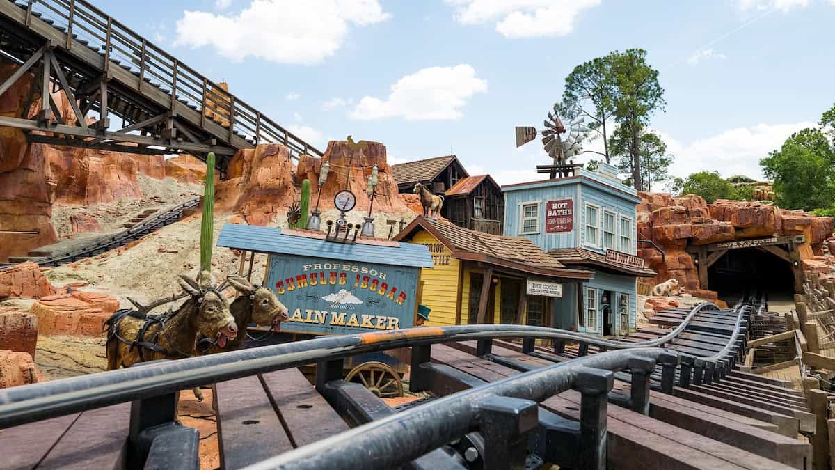 Magic Kingdom Guests Alerted of New Restrictions