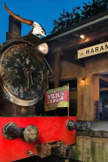 Disney Removes Operating Hours On This Attraction